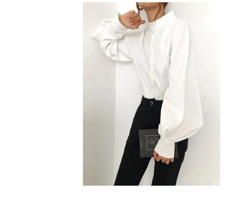 Big Lantern Sleeve Blouse for Women