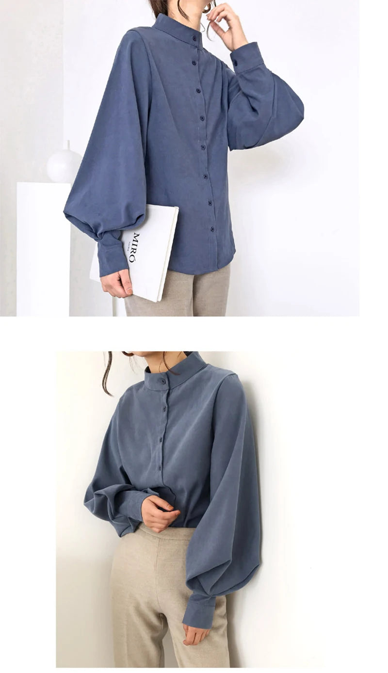 Big Lantern Sleeve Blouse for Women