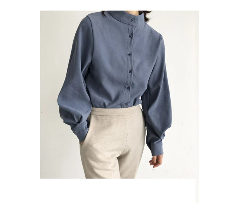 Big Lantern Sleeve Blouse for Women