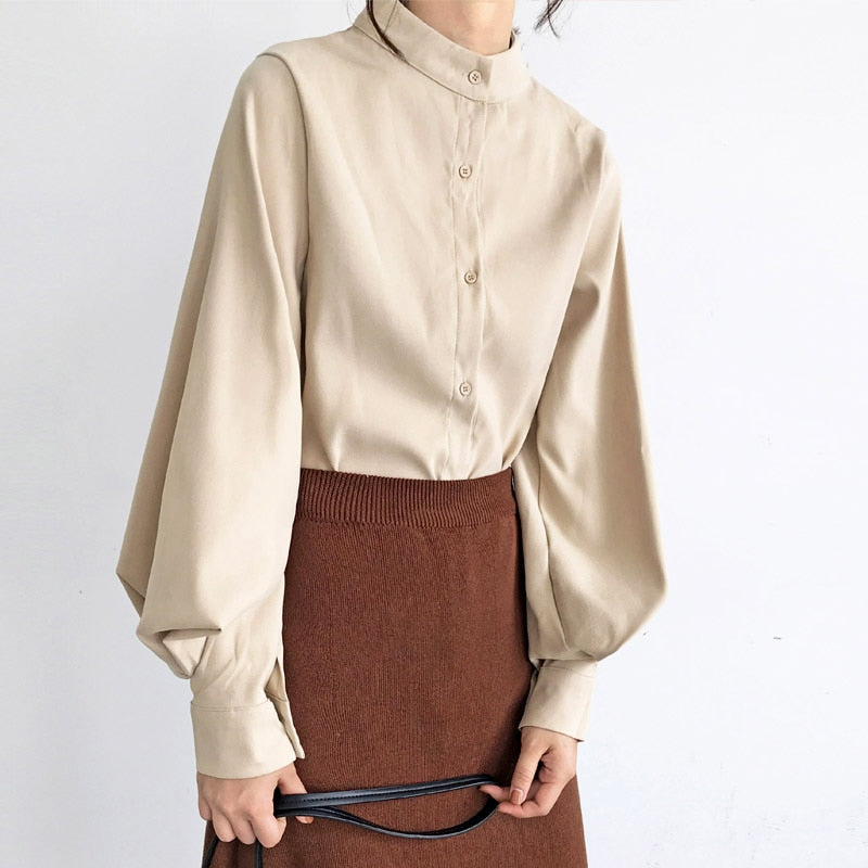 Big Lantern Sleeve Blouse for Women