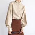Big Lantern Sleeve Blouse for Women