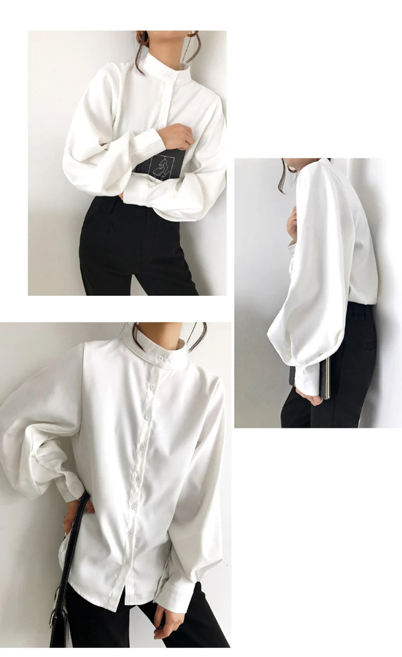 Big Lantern Sleeve Blouse for Women