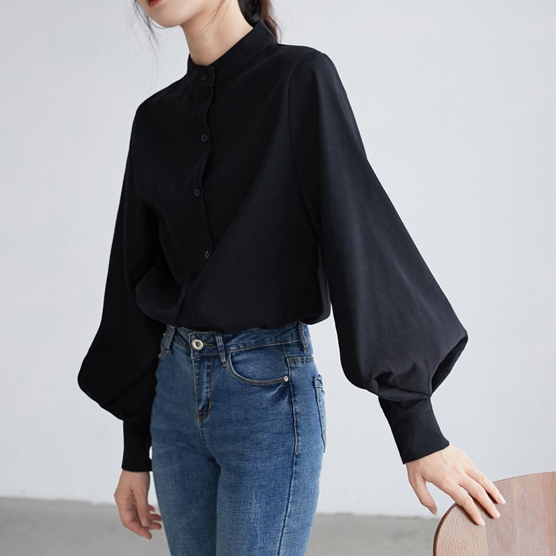 Big Lantern Sleeve Blouse for Women