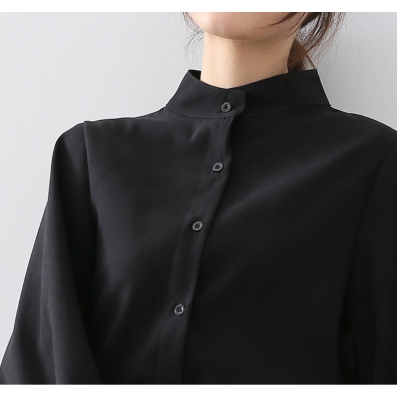 Big Lantern Sleeve Blouse for Women