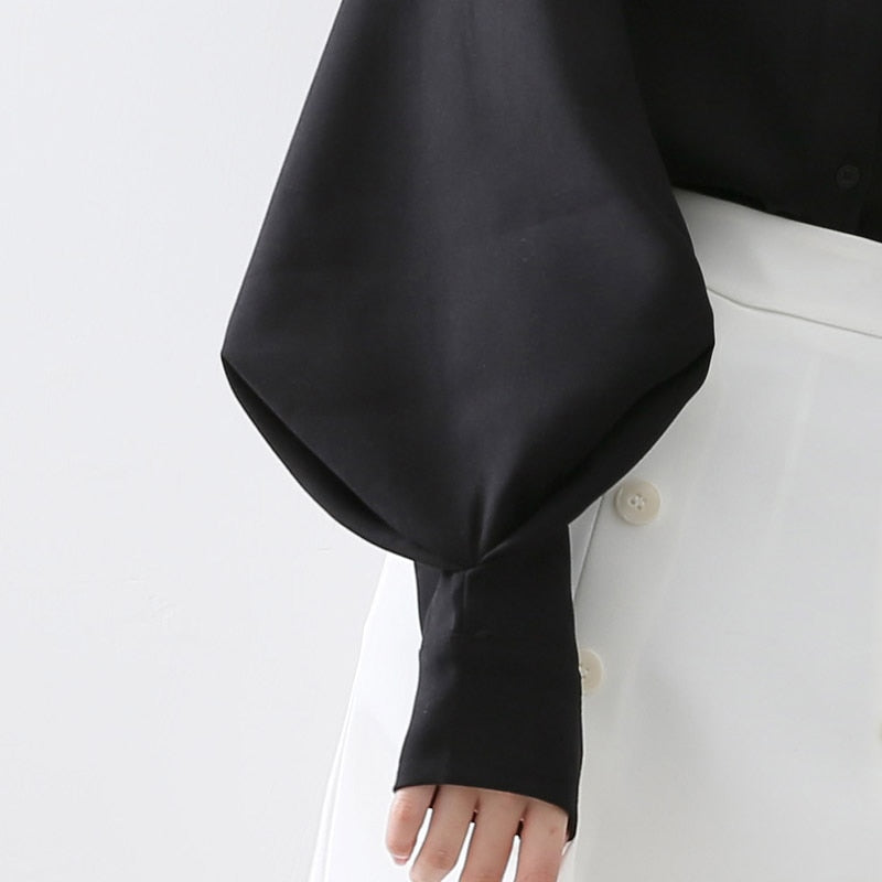 Big Lantern Sleeve Blouse for Women